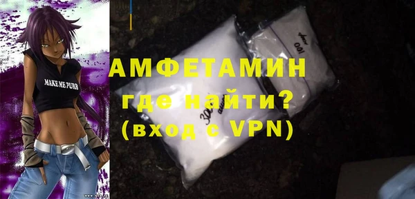 индика Кинешма