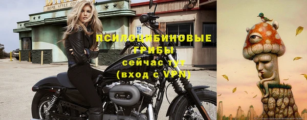 МДПВ Россошь