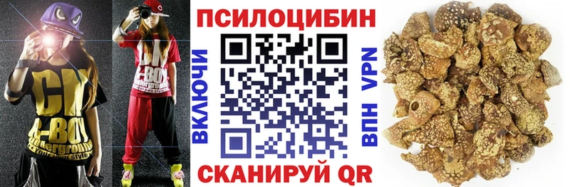 Галлюциногенные грибы MAGIC MUSHROOMS  mega ссылки  Снежногорск  сколько стоит 